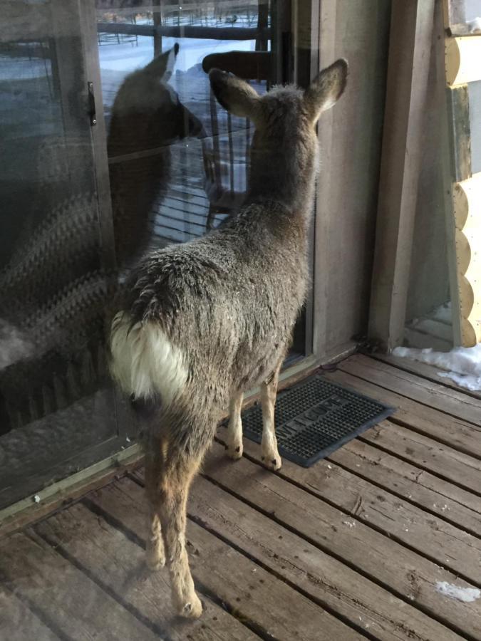 Rocky Mountain Lodge ดูบอยส์ ภายนอก รูปภาพ